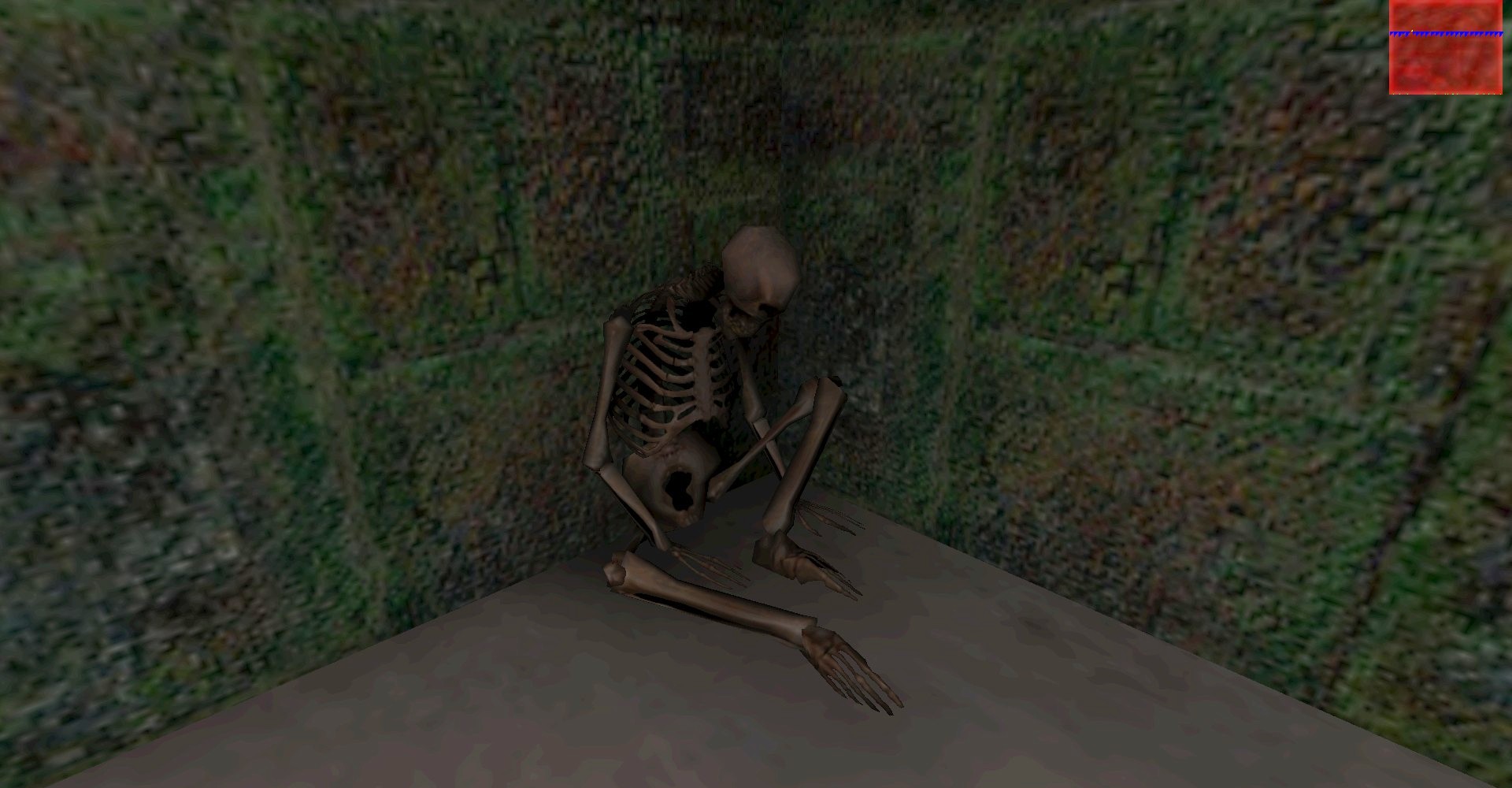 The Skeleton